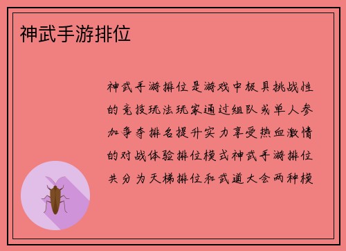 神武手游排位